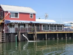 Photos of Harraseeket Lunch and Lobster Company | Lunch counter and lobster pound | South Freeport Maine Harbor