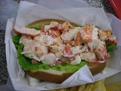 Photos of Harraseeket Lunch and Lobster Company | Lunch counter and lobster pound | South Freeport Maine Harbor